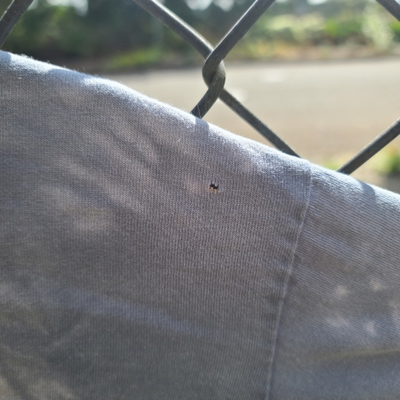 Horse Tie-die T-shirt 1999 Wyoming - M - Picture 5 of 5